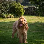 Souterstead Coniston