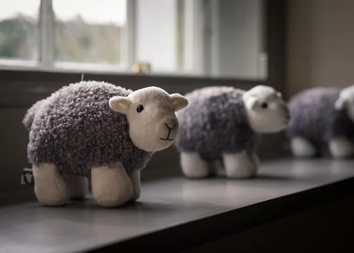 Souterstead * Coniston