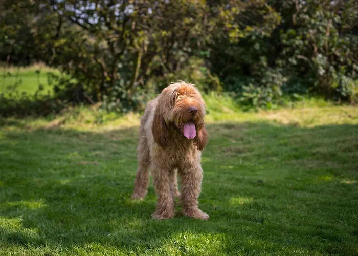 Holiday home Souterstead *