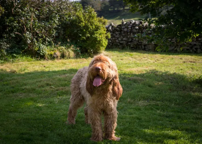 Souterstead Coniston